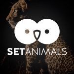 Set Animals